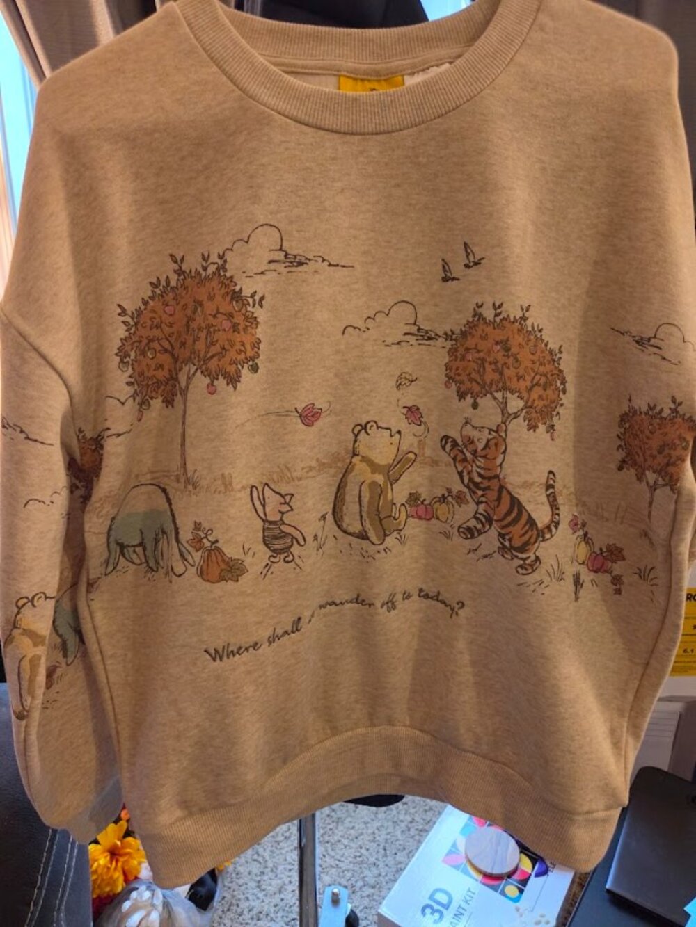 Disney Winnie the Pooh Autumn Sweatshirt Womens S | Fall Graphic Oatmeal